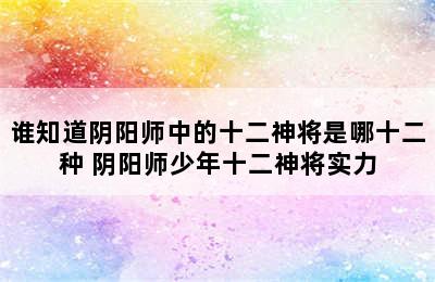 谁知道阴阳师中的十二神将是哪十二种 阴阳师少年十二神将实力